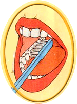 Dental Basics
